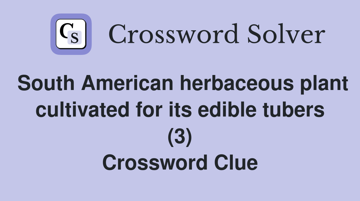 South American herbaceous plant cultivated for its edible tubers (3